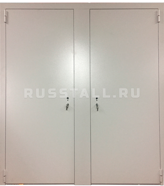 Входная двухстворчатая дверь RS123