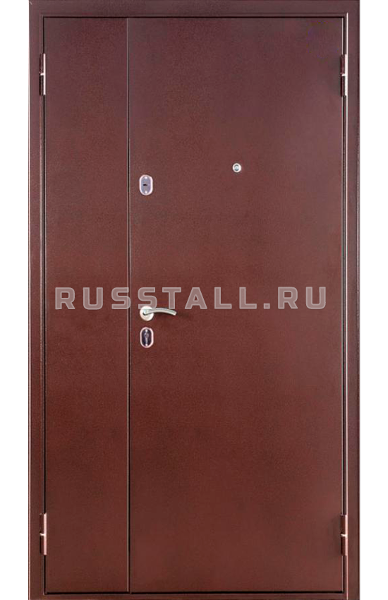 Металлическая уличная входная дверь RS23