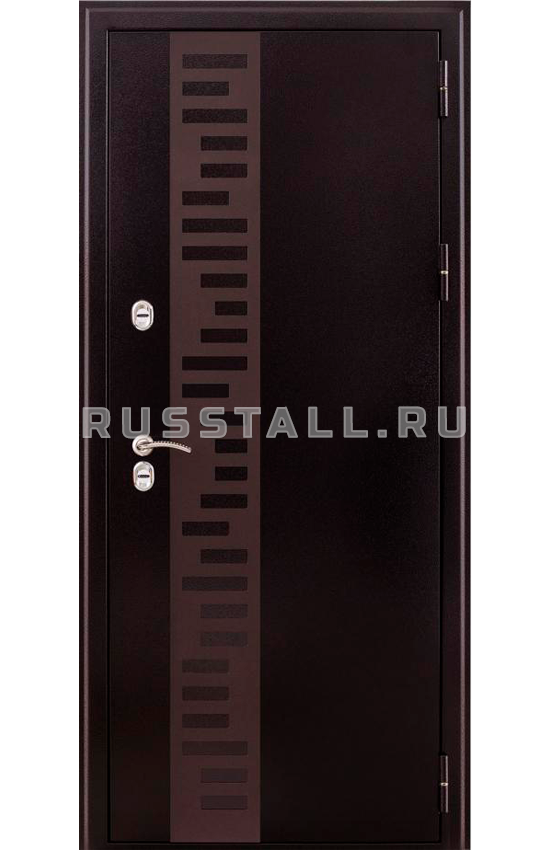 Порошковая входная дверь с МДФ RS17