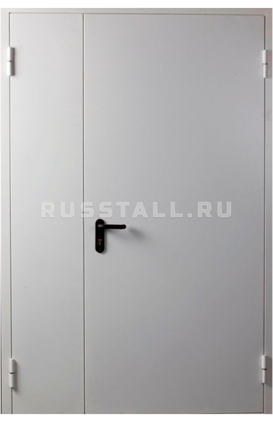 Входная противопожарная дверь RS129